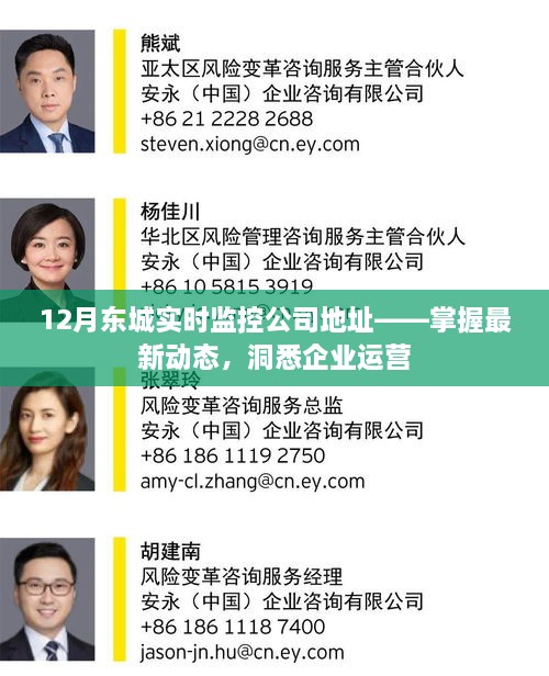 东城企业实时监控地址，最新动态，洞悉运营