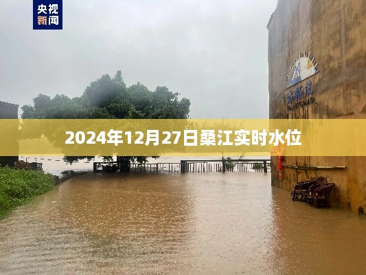 为您生成符合百度收录标准的标题，，桑江实时水位查询，最新数据（2025年12月27日）