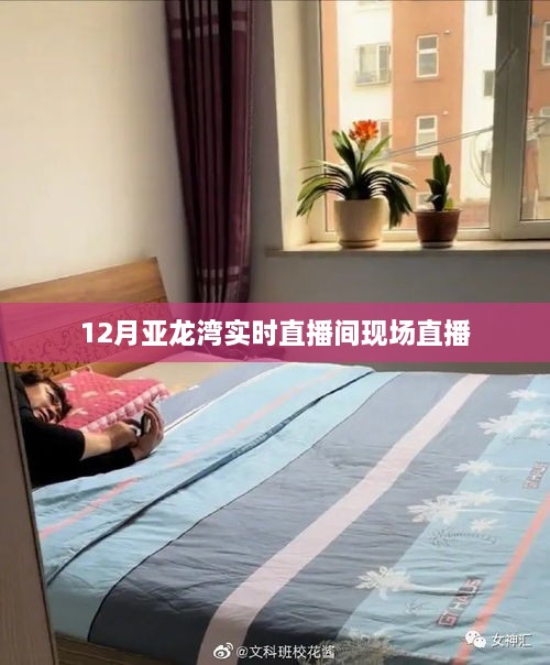 chaijingqunbu 第3页