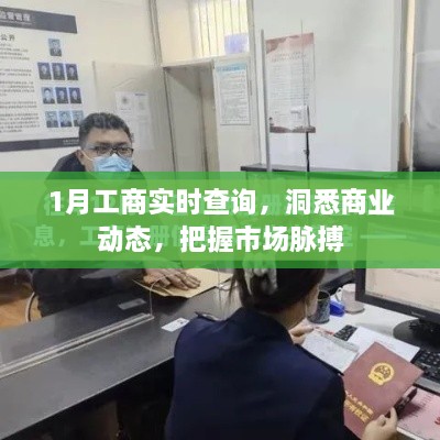 1月工商实时查询，洞悉市场动态