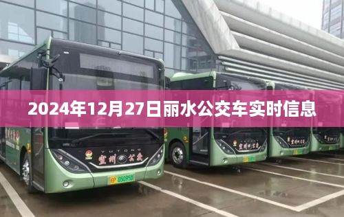 丽水公交车实时信息（2025年12月27日）