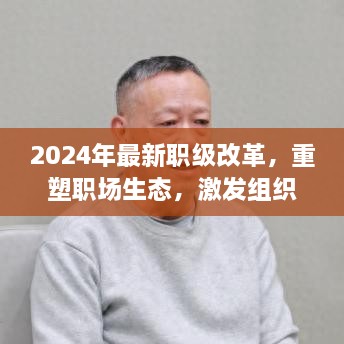 2025职级改革重塑职场生态，激发组织新活力