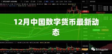 niaohaishucuan 第3页