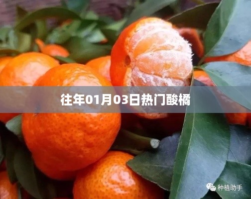 wenguitiancheng 第2页