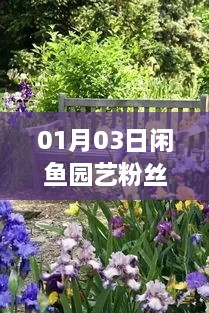 星星打烊 第3页