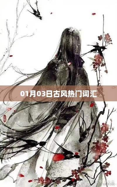 01月03日古风流行词汇盘点