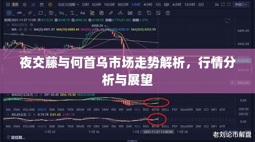weifenglinlin 第2页