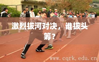 两部蛙鸣 第2页
