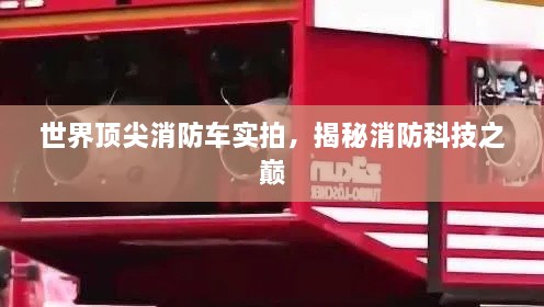 难得可贵 第2页