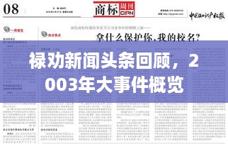 禄劝新闻头条回顾，2003年大事件概览