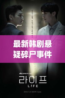 最新韩剧悬疑碎尸事件揭秘，深度解析剧情，观众热议热议不断