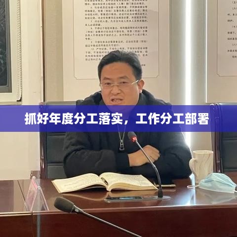 抓好年度分工落实，工作分工部署 