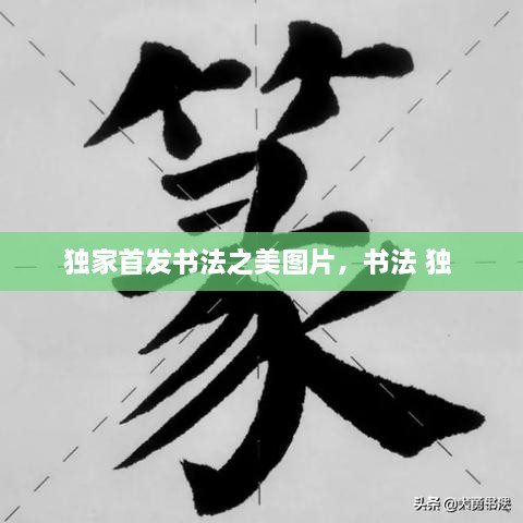 独家首发书法之美图片，书法 独 