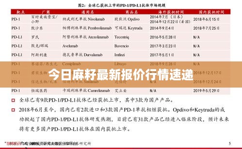 今日麻籽最新报价行情速递