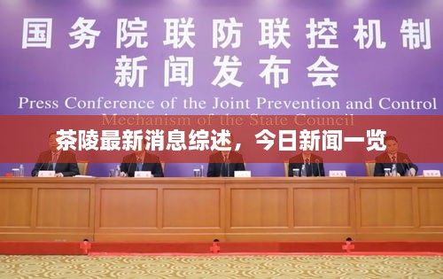 茶陵最新消息综述，今日新闻一览