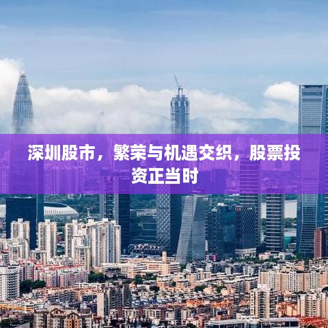 深圳股市，繁荣与机遇交织，股票投资正当时