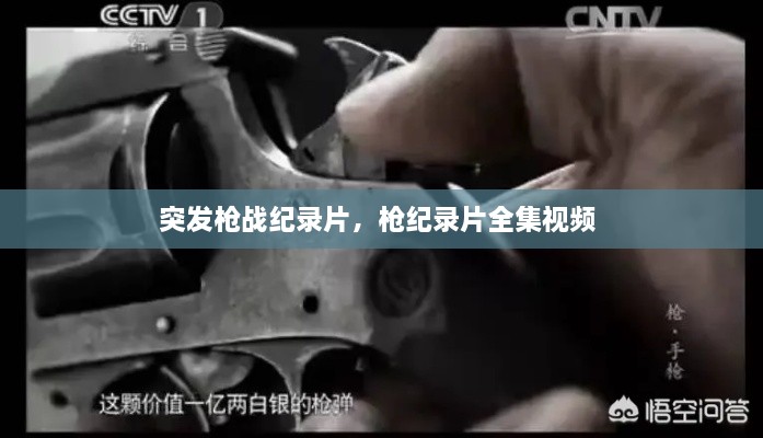 突发枪战纪录片，枪纪录片全集视频 