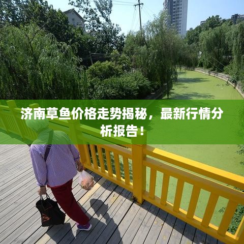 济南草鱼价格走势揭秘，最新行情分析报告！