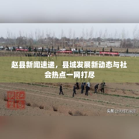 鸟覆危巢_1 第2页