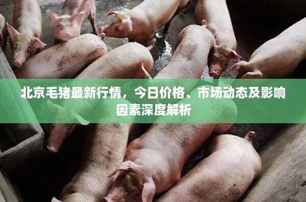 一本正经_1 第2页