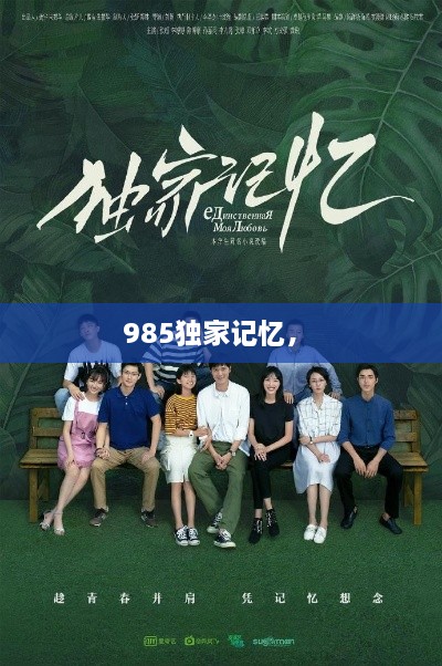 985独家记忆， 
