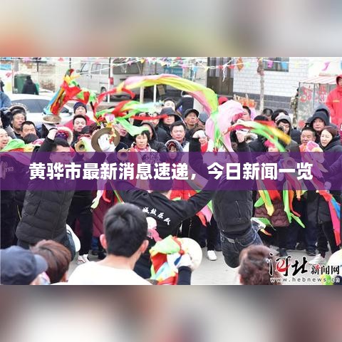 黄骅市最新消息速递，今日新闻一览