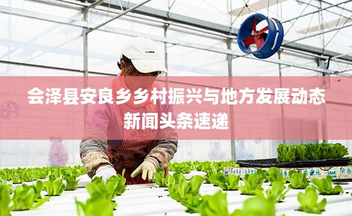 会泽县安良乡乡村振兴与地方发展动态新闻头条速递