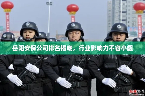 岳阳安保公司排名揭晓，行业影响力不容小觑