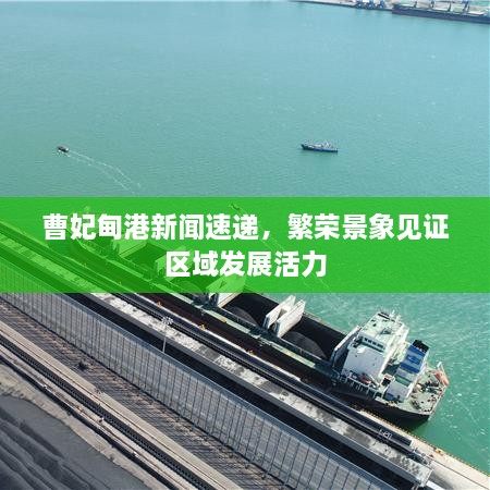 曹妃甸港新闻速递，繁荣景象见证区域发展活力