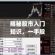 揭秘股市入门知识，一手股票中的股数真相