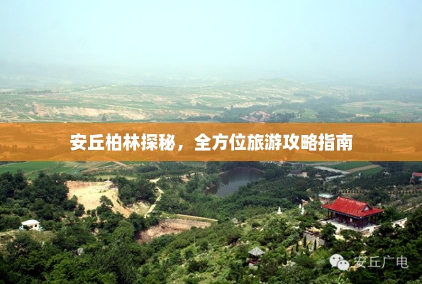 zhanghuangpushi 第2页