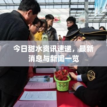 今日甜水资讯速递，最新消息与新闻一览