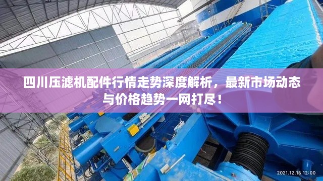 四川压滤机配件行情走势深度解析，最新市场动态与价格趋势一网打尽！