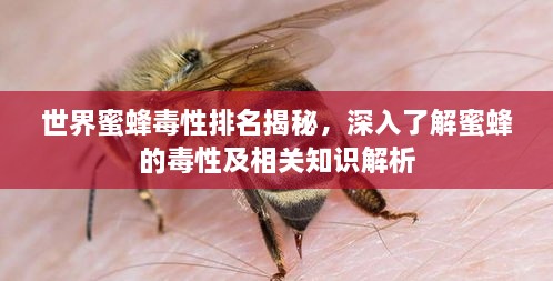 一毫不苟 第2页
