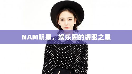 NAM明星，娱乐圈的耀眼之星
