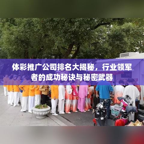体彩推广公司排名大揭秘，行业领军者的成功秘诀与秘密武器