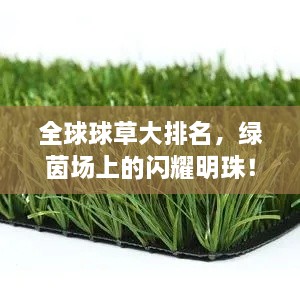 全球球草大排名，绿茵场上的闪耀明珠！
