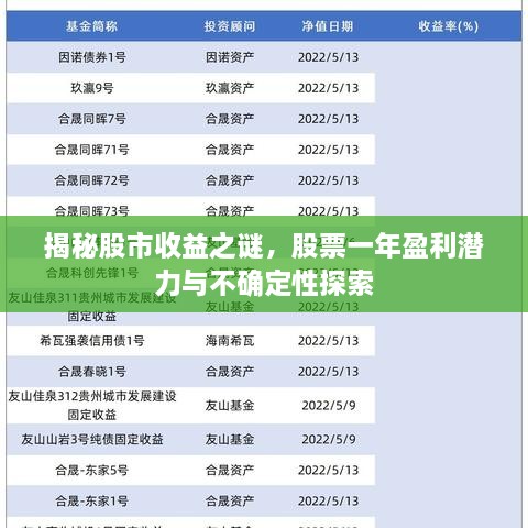 揭秘股市收益之谜，股票一年盈利潜力与不确定性探索