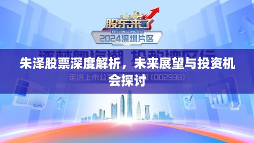 朱泽股票深度解析，未来展望与投资机会探讨