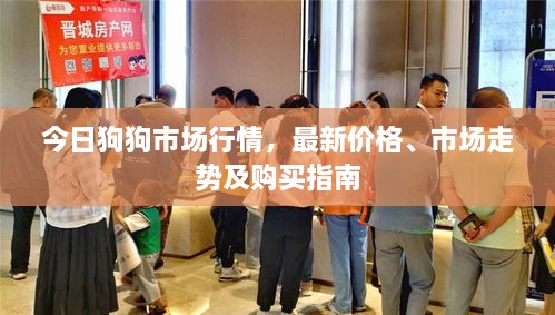 今日狗狗市场行情，最新价格、市场走势及购买指南