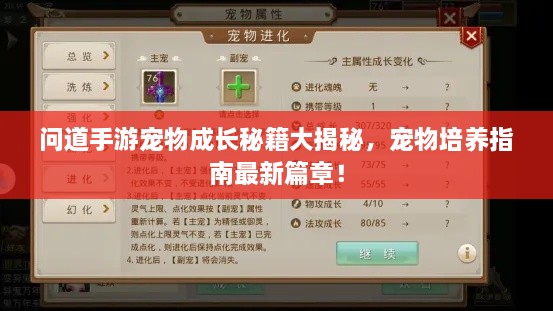 问道手游宠物成长秘籍大揭秘，宠物培养指南最新篇章！