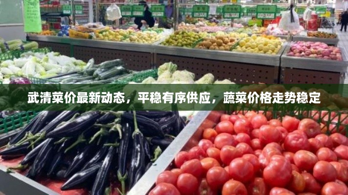 武清菜价最新动态，平稳有序供应，蔬菜价格走势稳定