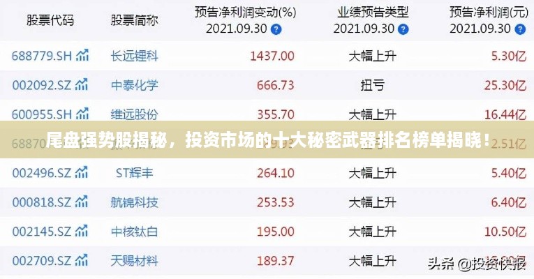 尾盘强势股揭秘，投资市场的十大秘密武器排名榜单揭晓！