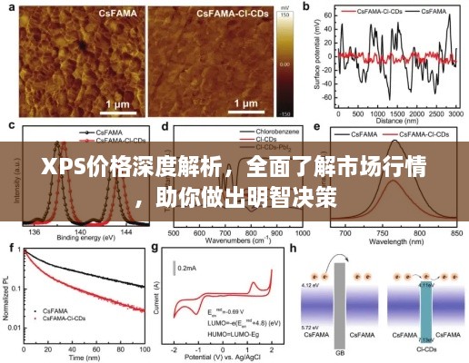 XPS价格深度解析，全面了解市场行情，助你做出明智决策
