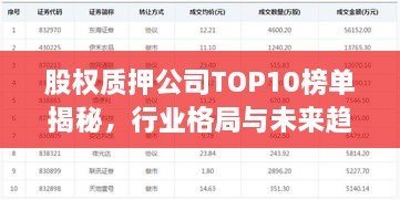 股权质押公司TOP10榜单揭秘，行业格局与未来趋势展望