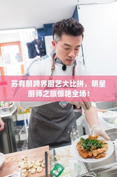 苏有朋跨界厨艺大比拼，明星厨师之旅惊艳全场！