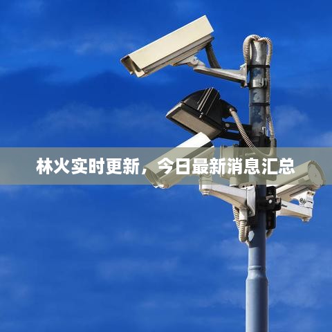 林火实时更新，今日最新消息汇总