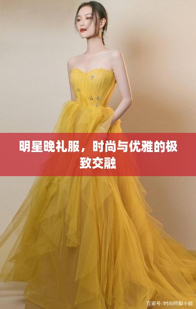 明星晚礼服，时尚与优雅的极致交融