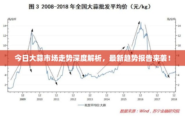 今日大蒜市场走势深度解析，最新趋势报告来袭！