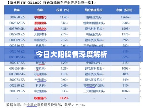 今日大阳股情深度解析